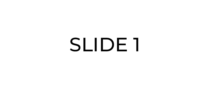 SLIDE1