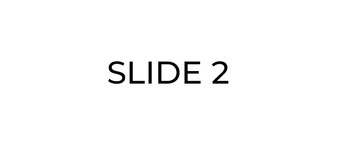 SLIDE2