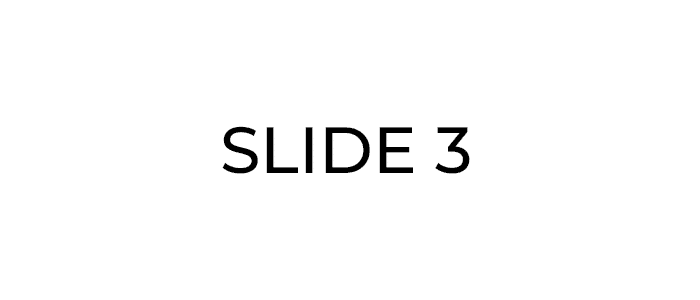 SLIDE3